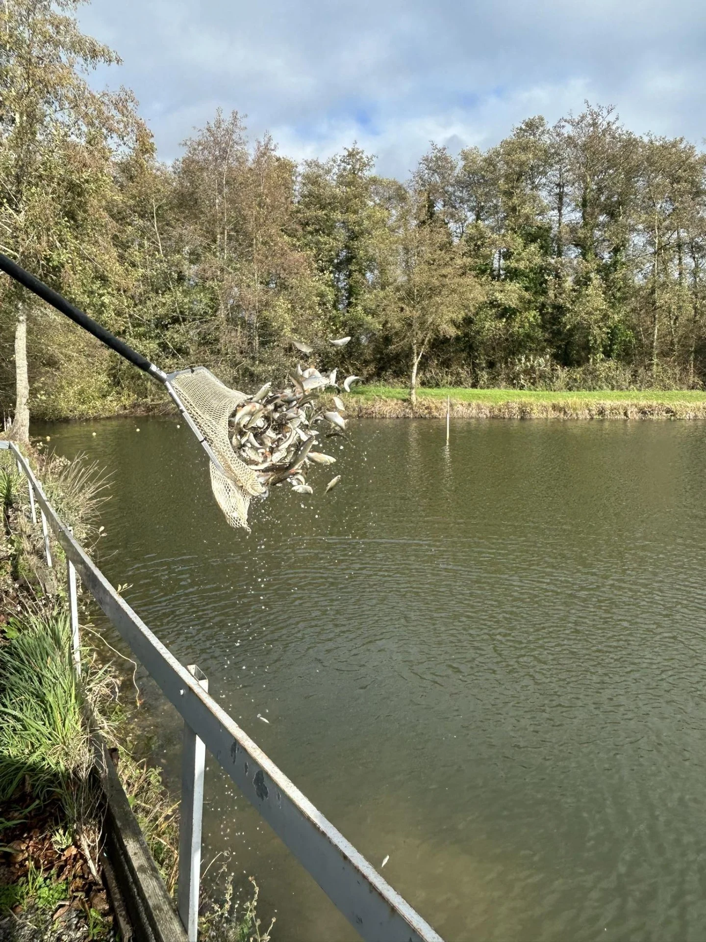 Alevinage Novembre 2025