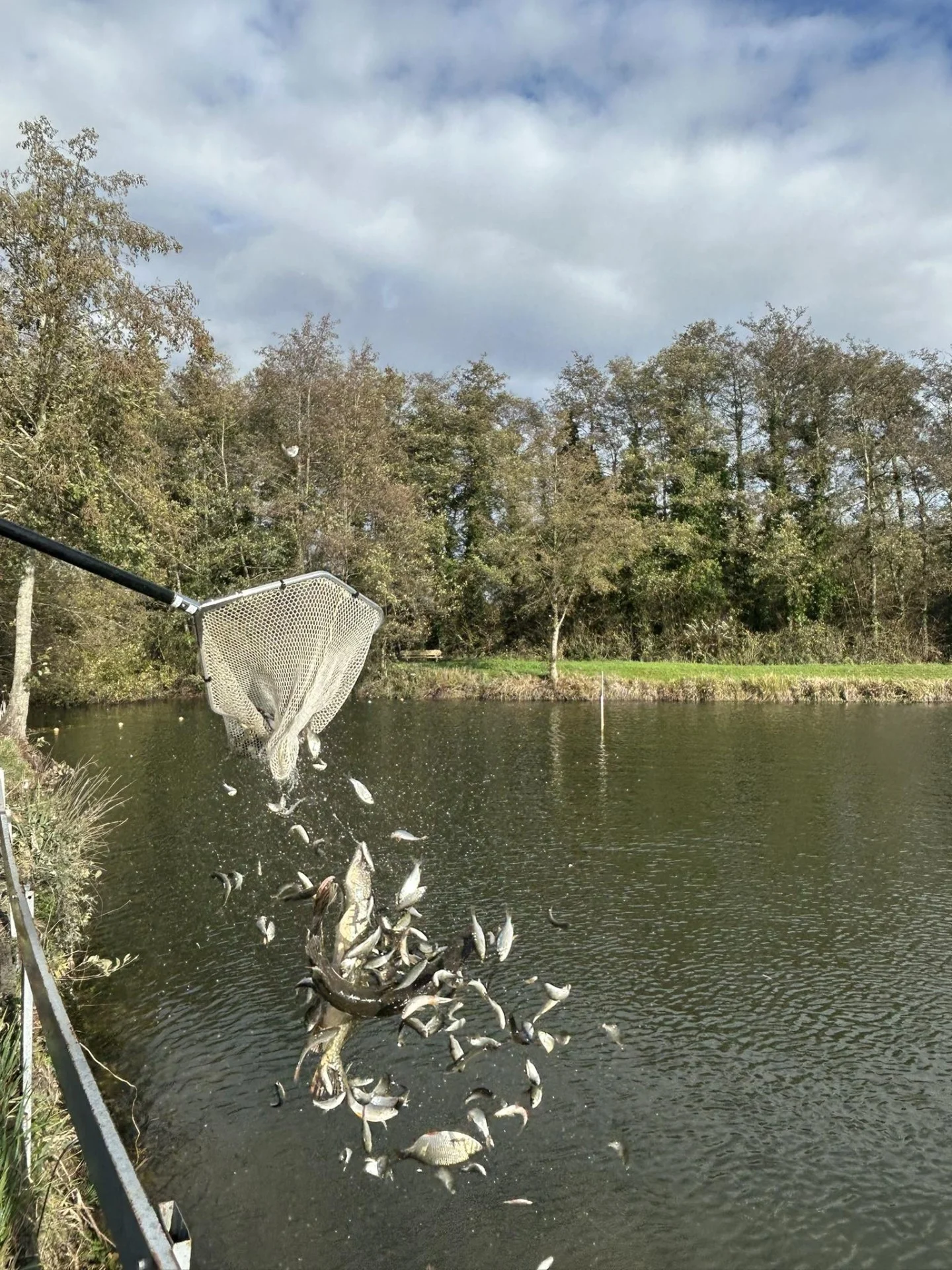 Alevinage Novembre 2025