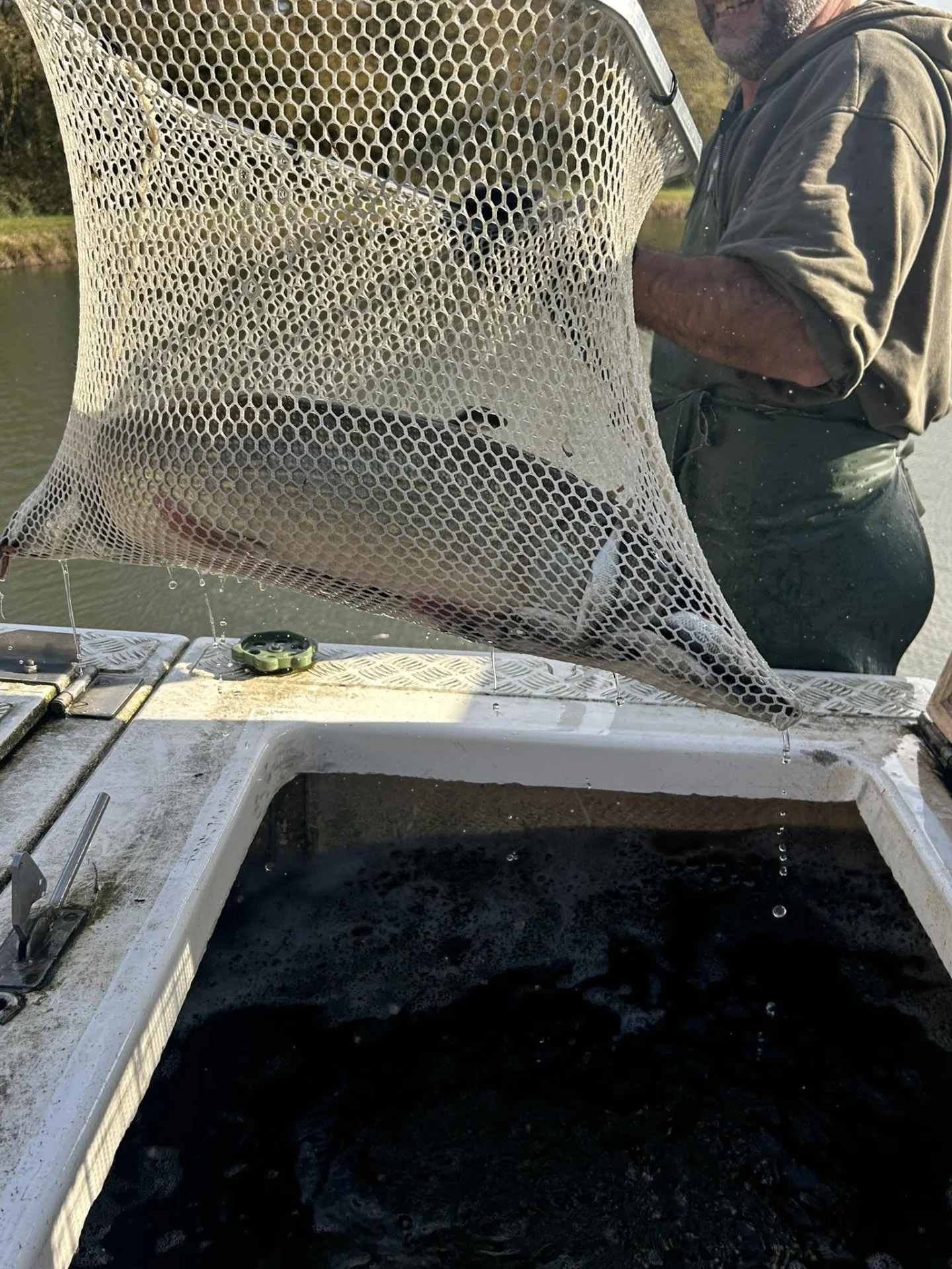 Alevinage Novembre 2025