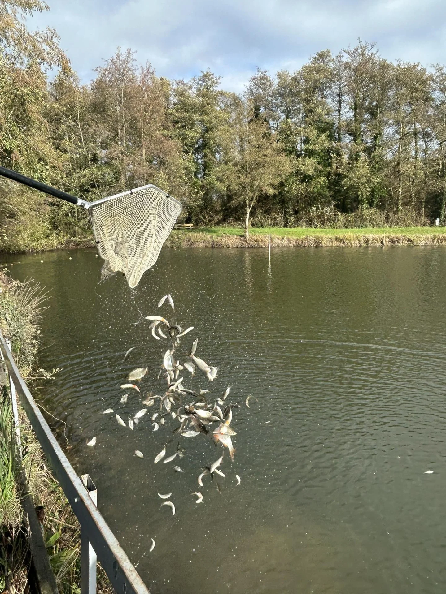 Alevinage Novembre 2025