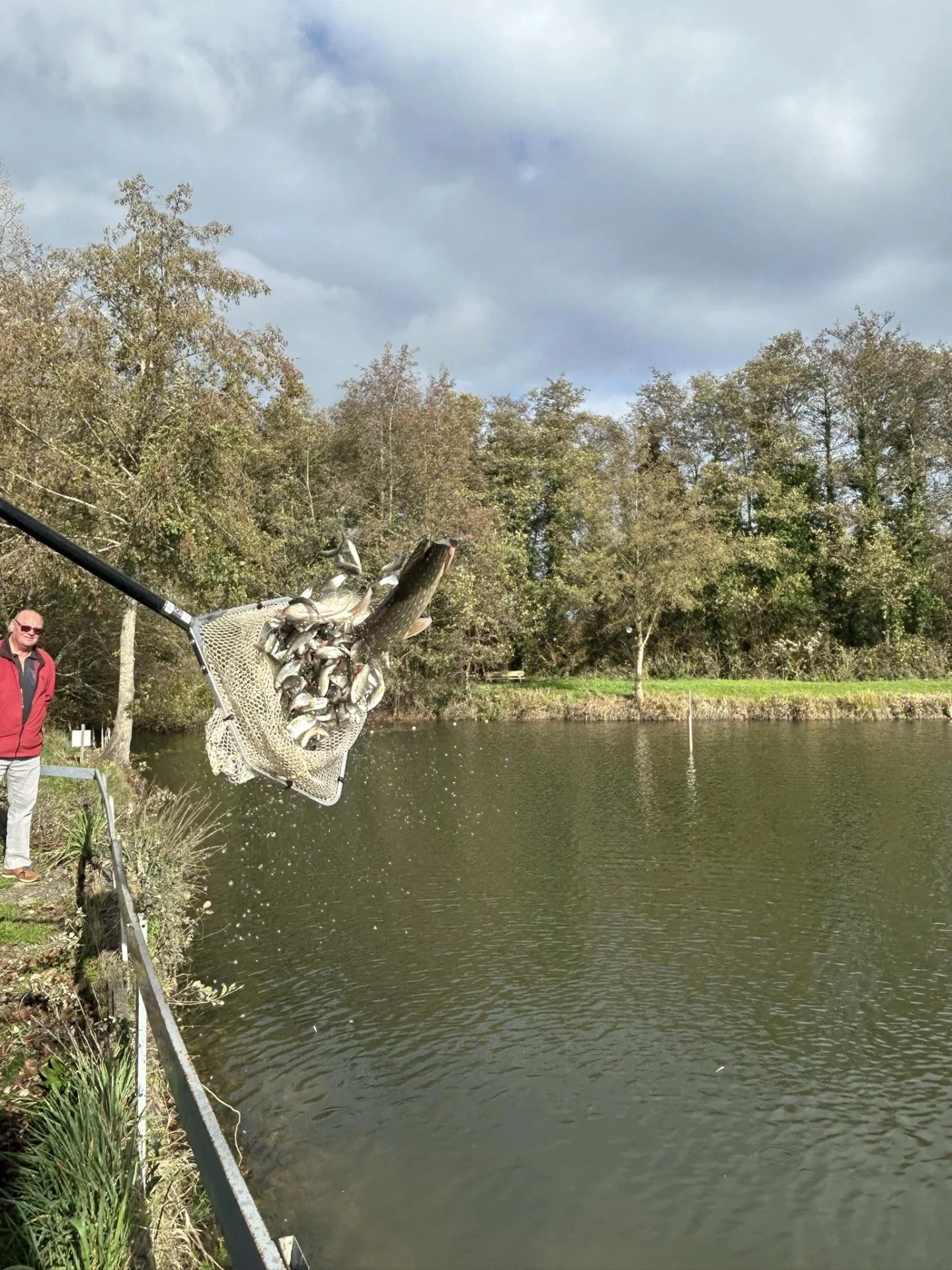 Alevinage Novembre 2025