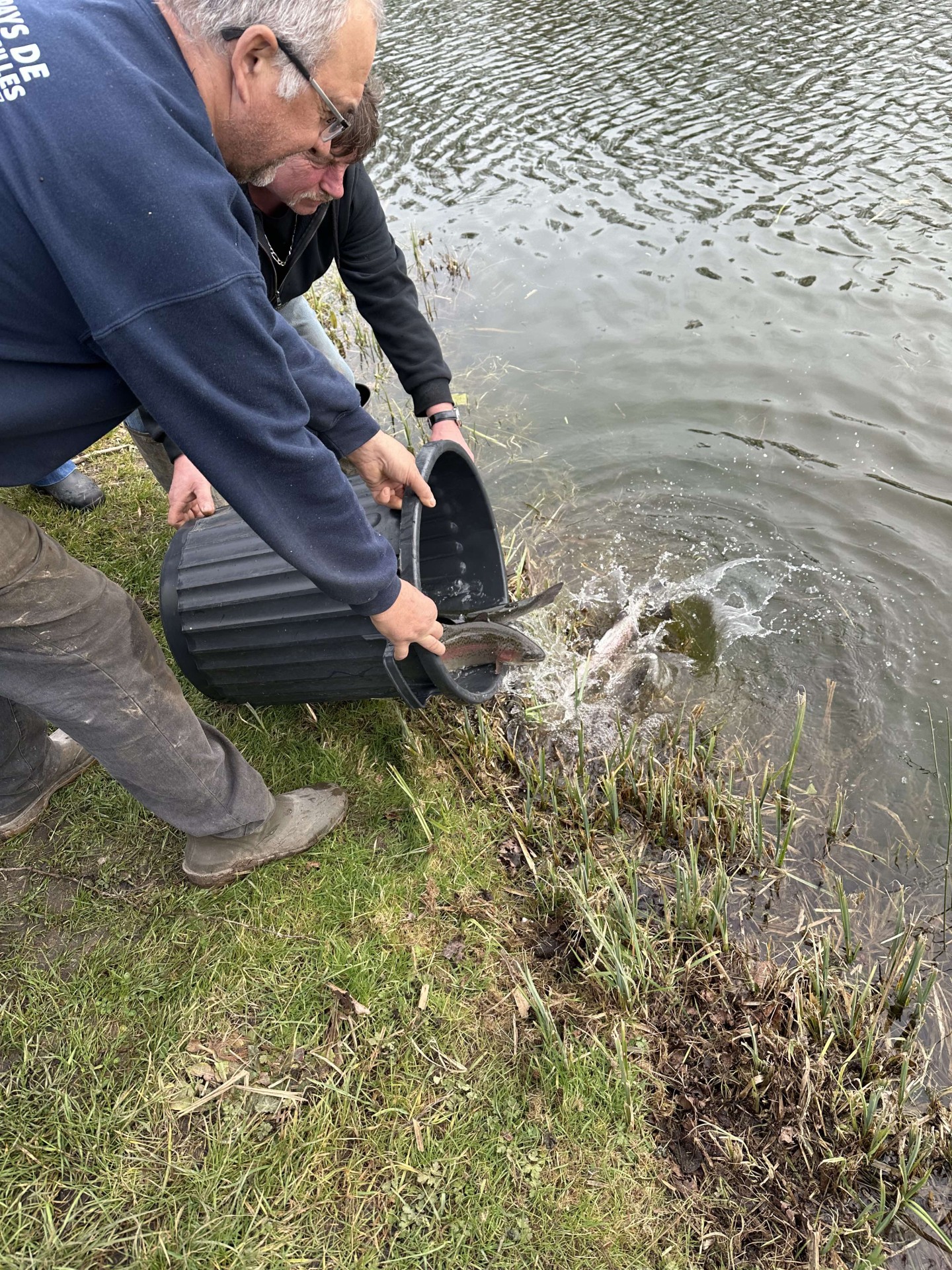 Alevinage février 2025