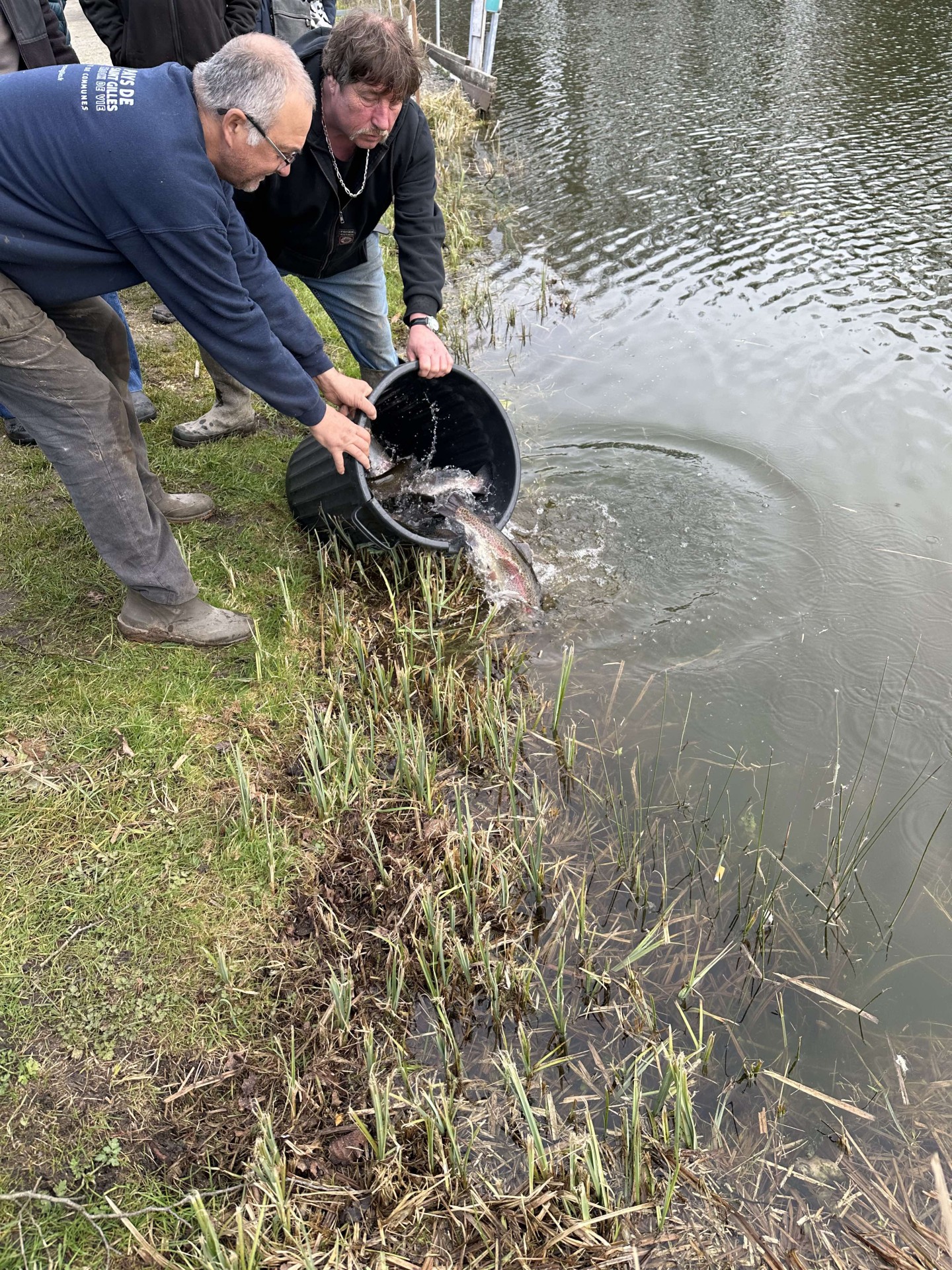 Alevinage février 2025