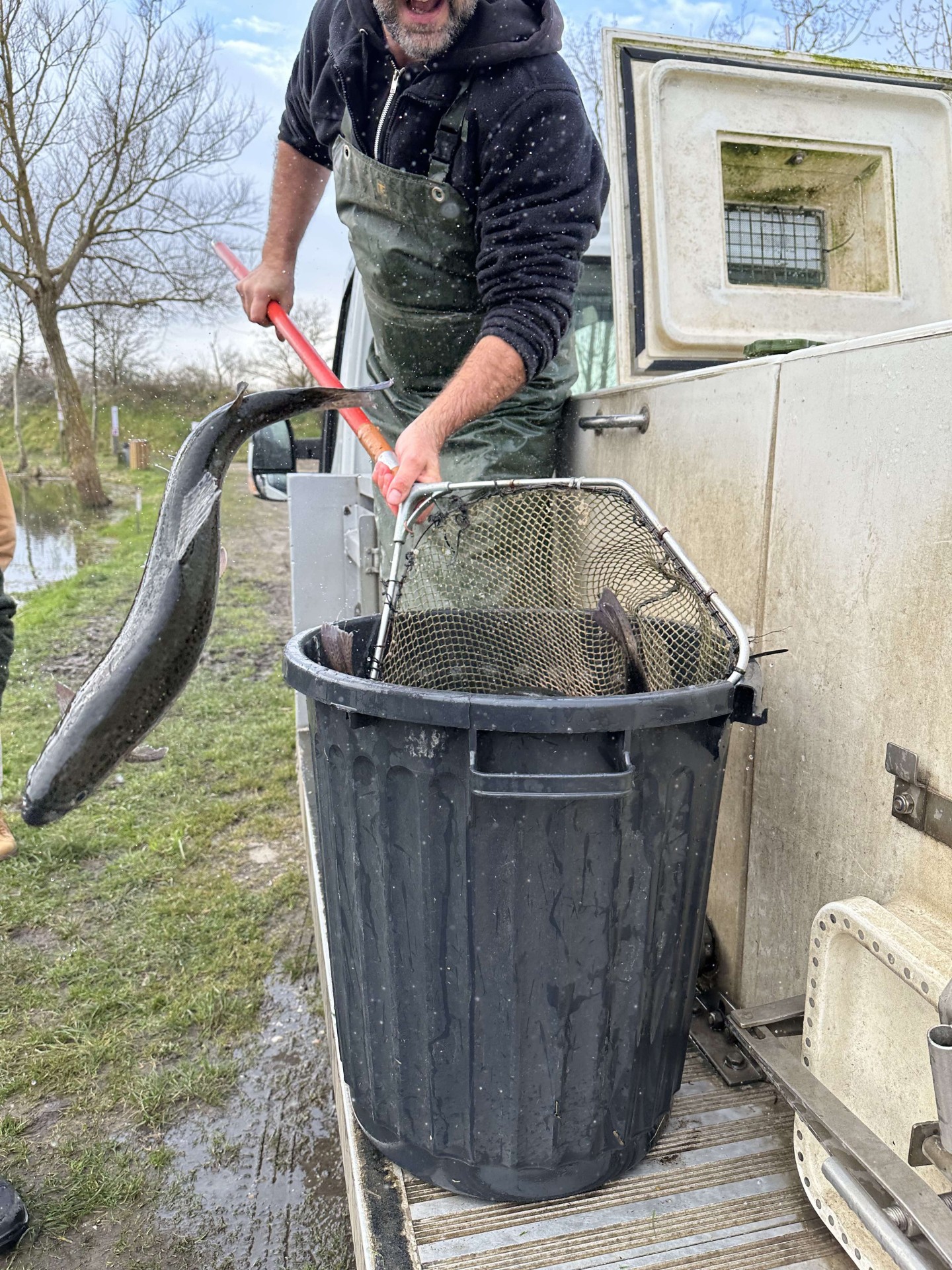 Alevinage février 2025