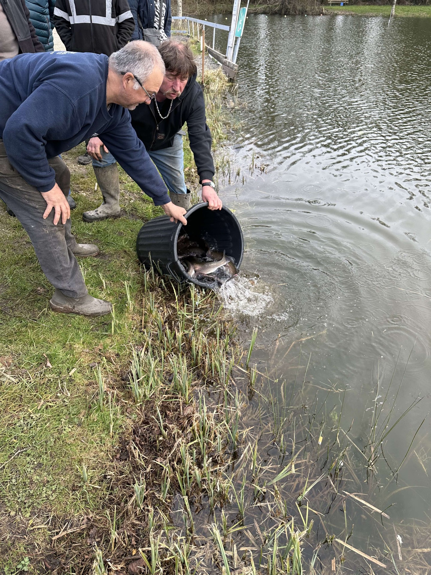 Alevinage février 2025