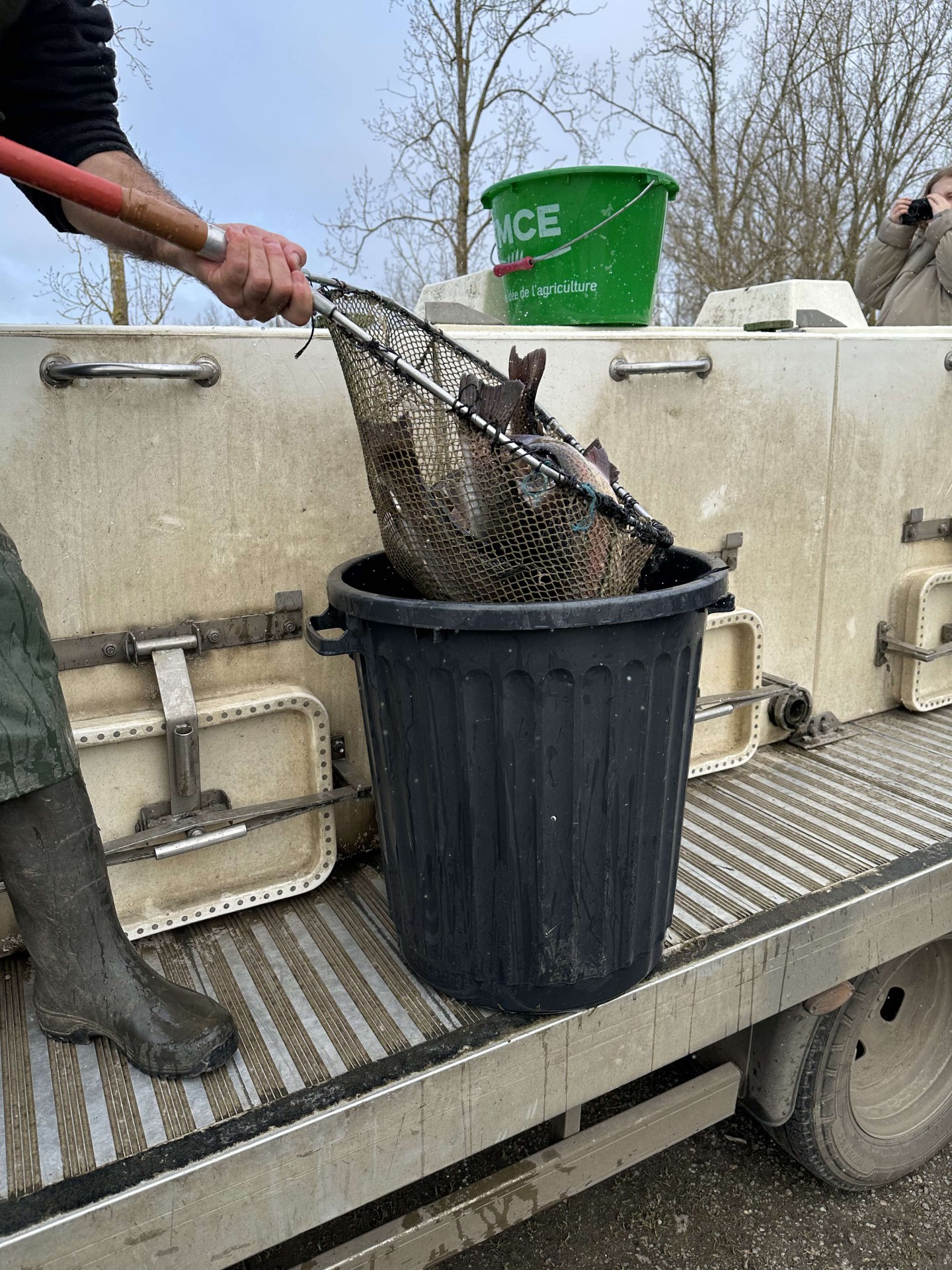 Alevinage février 2025