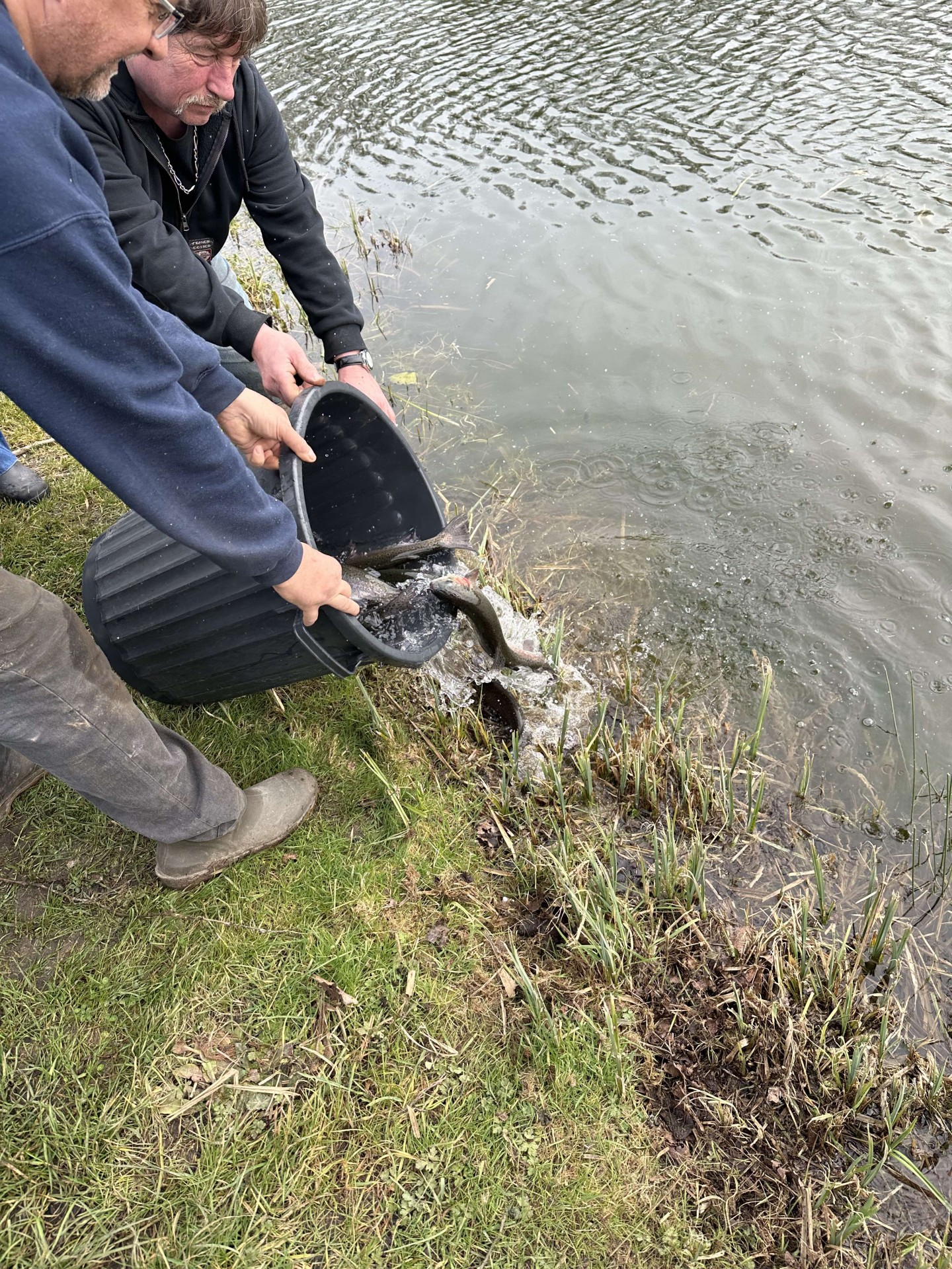 Alevinage février 2025