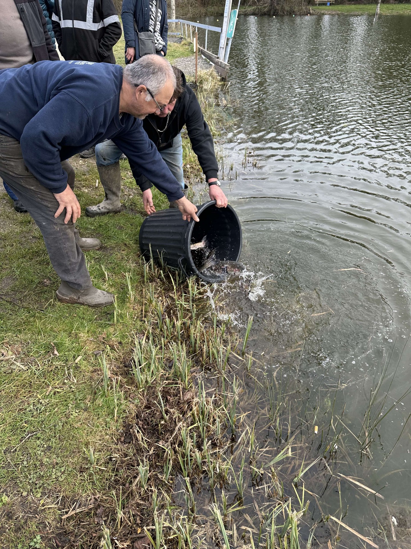 Alevinage février 2025