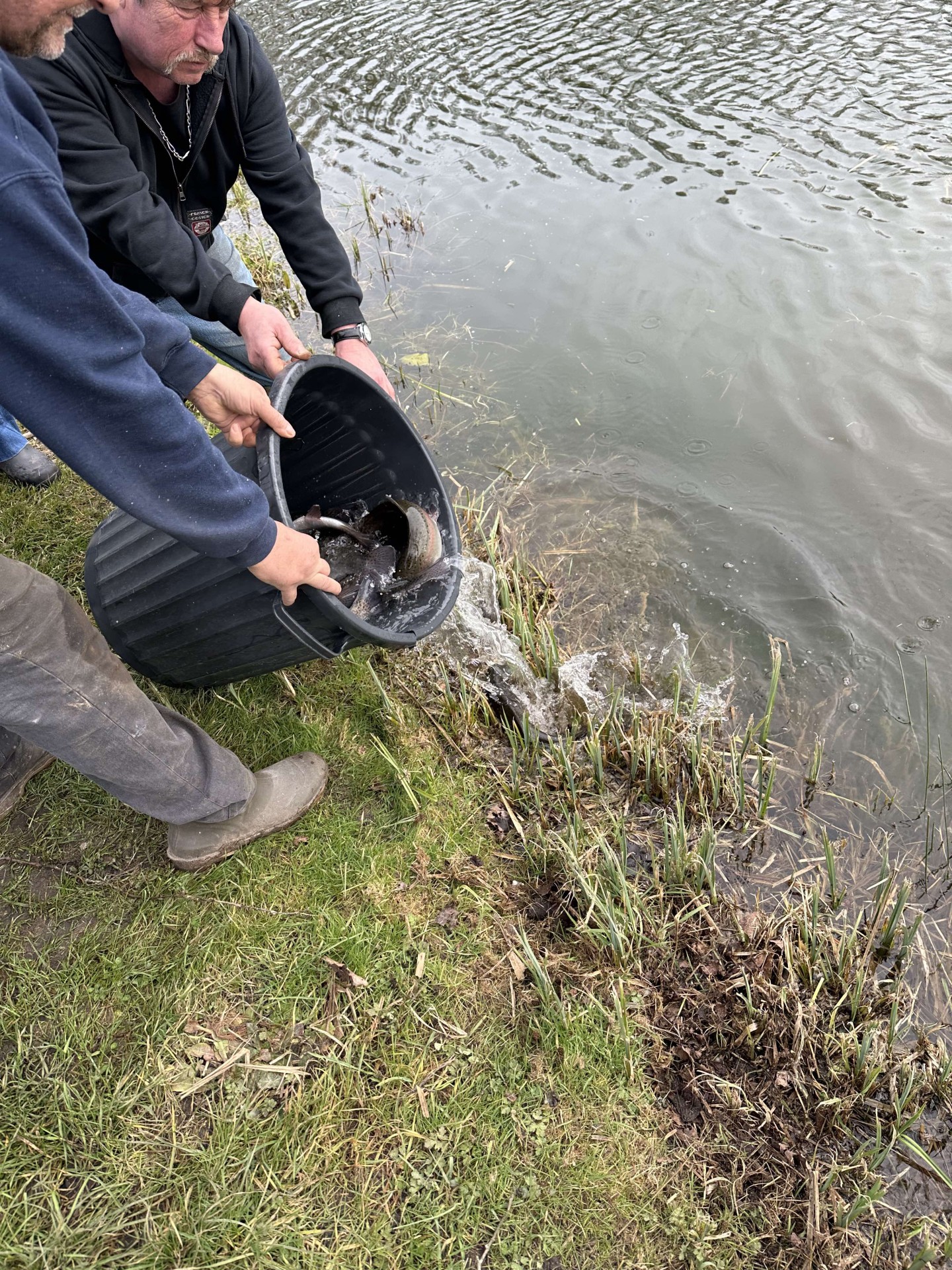Alevinage février 2025