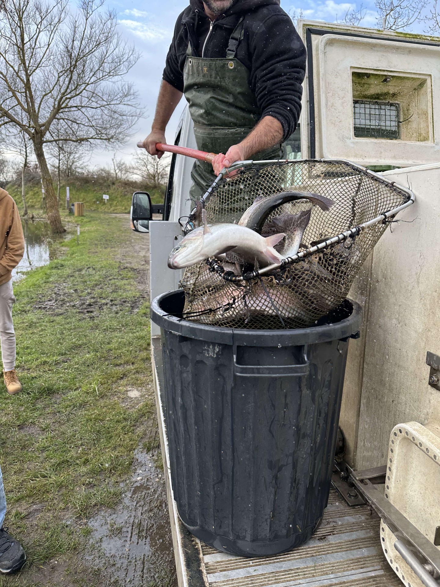 Alevinage février 2025