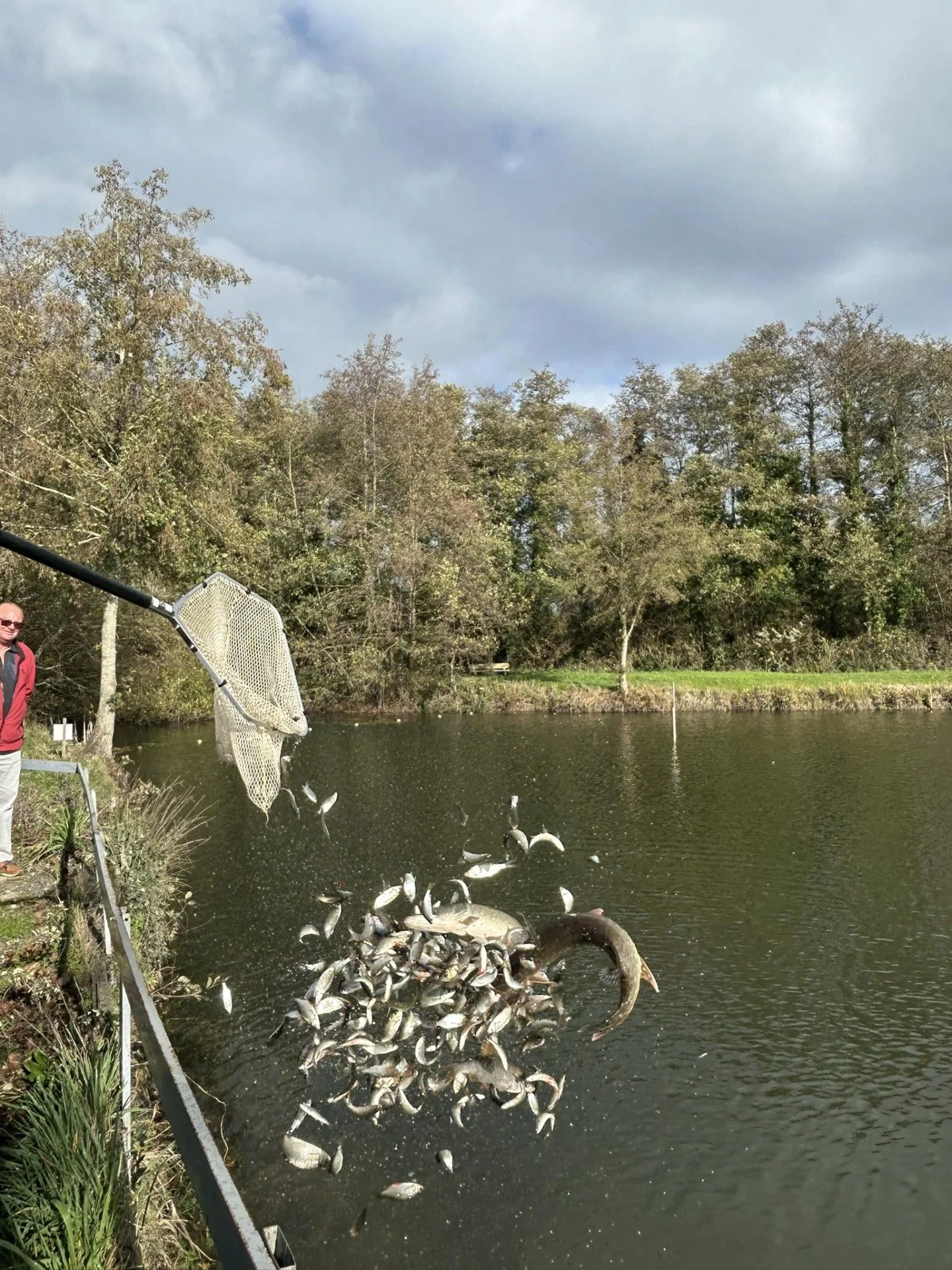 Alevinage Novembre 2025