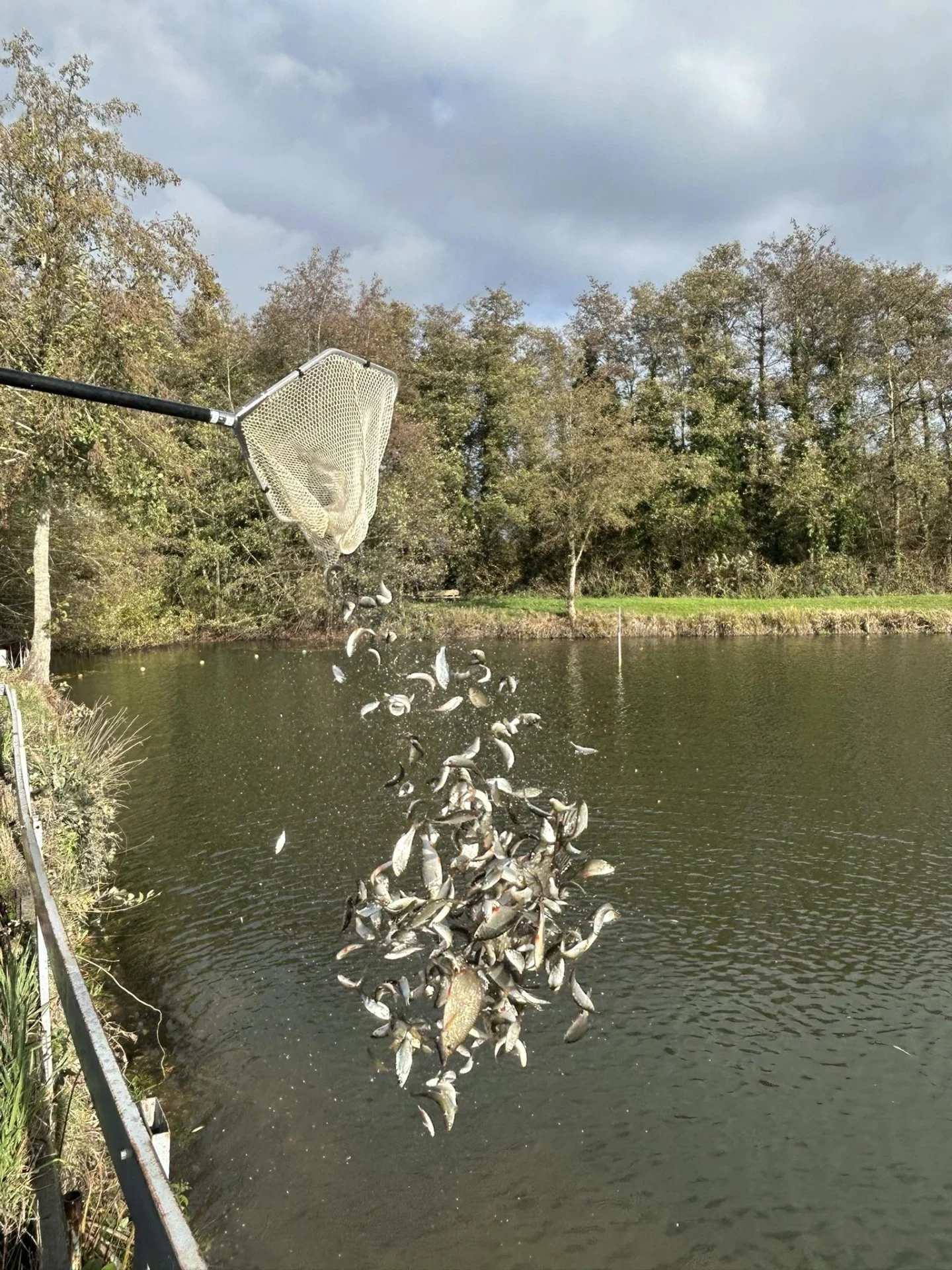 Alevinage Novembre 2025