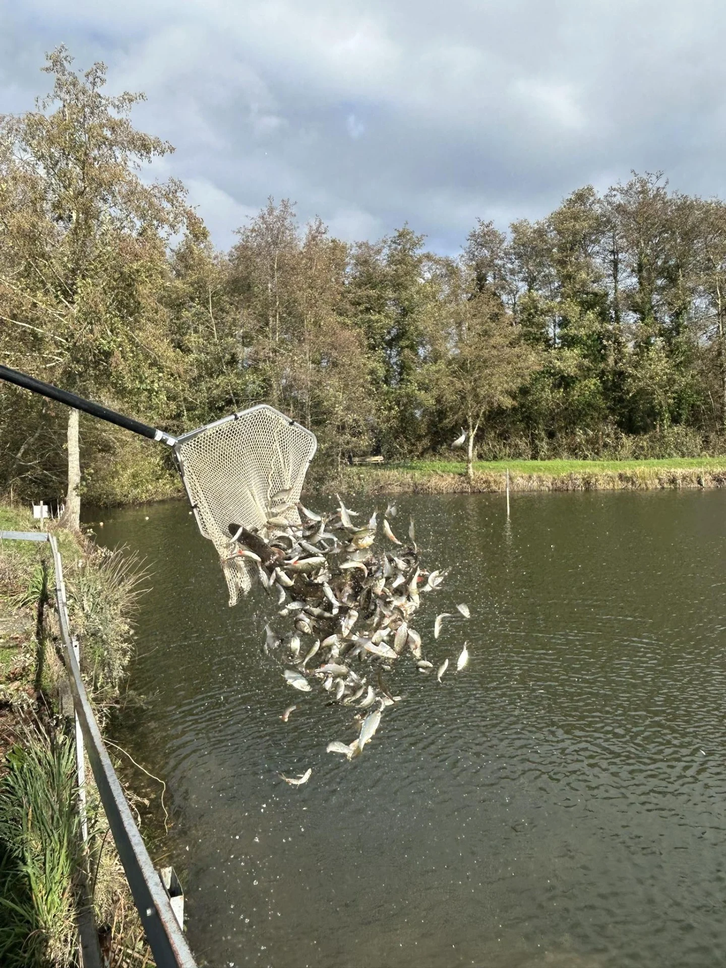 Alevinage Novembre 2025