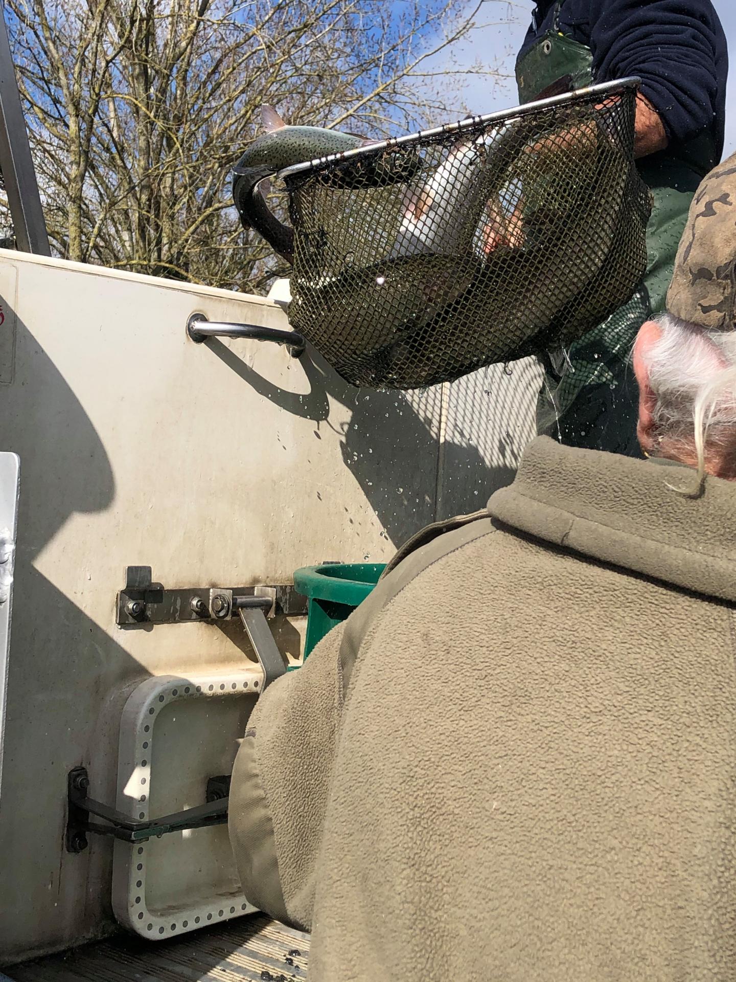 ALVINAGE FEVRIER 2020