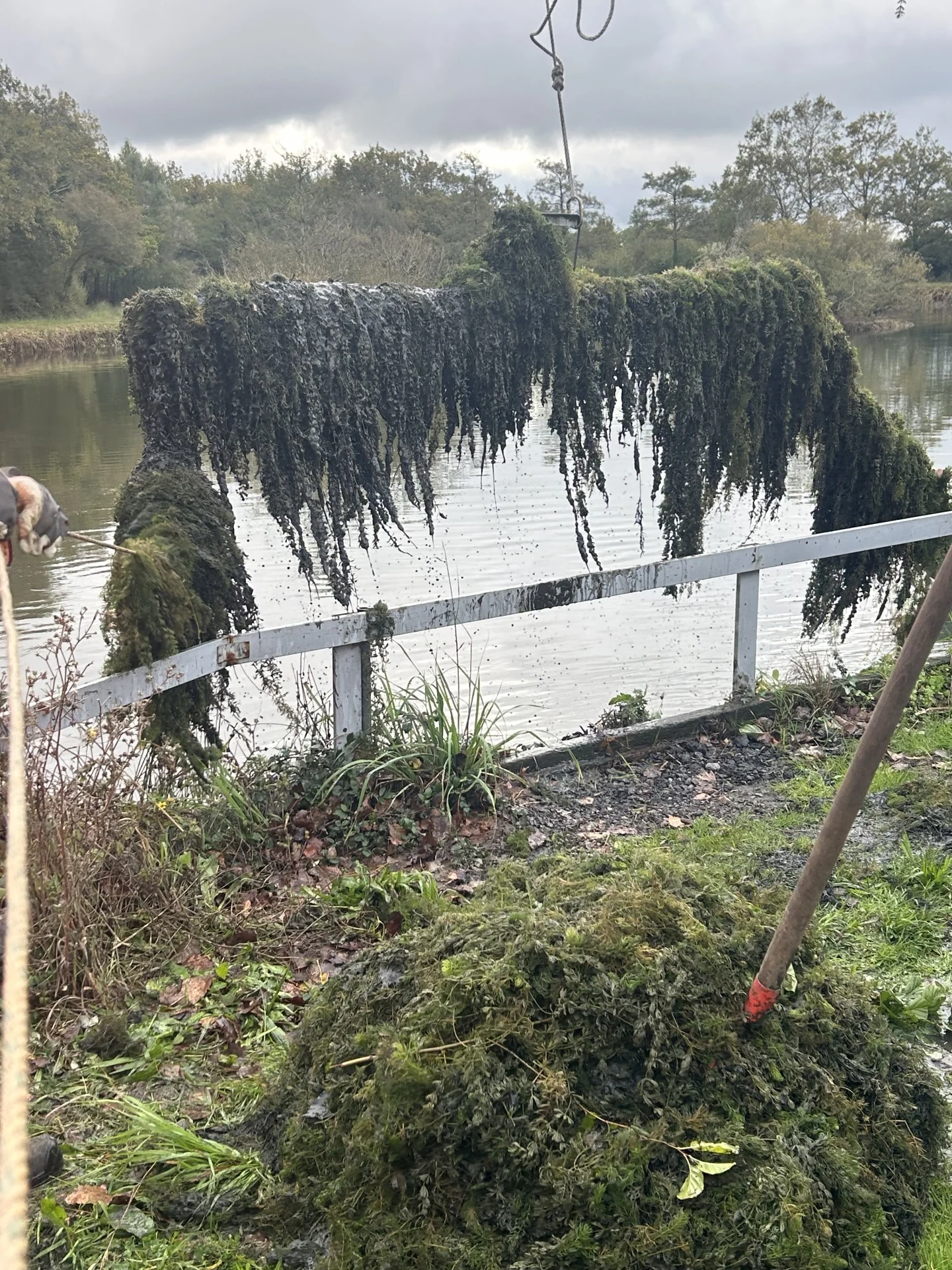 Nettoyage Plan d'eau